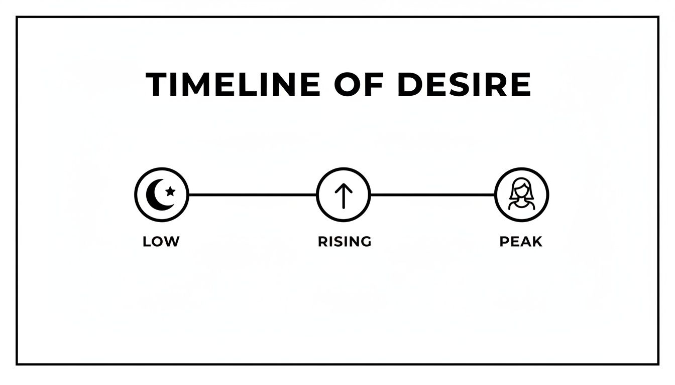 A timeline graphic titled "Timeline of Desire" showing low, rising, and peak stages with icons.