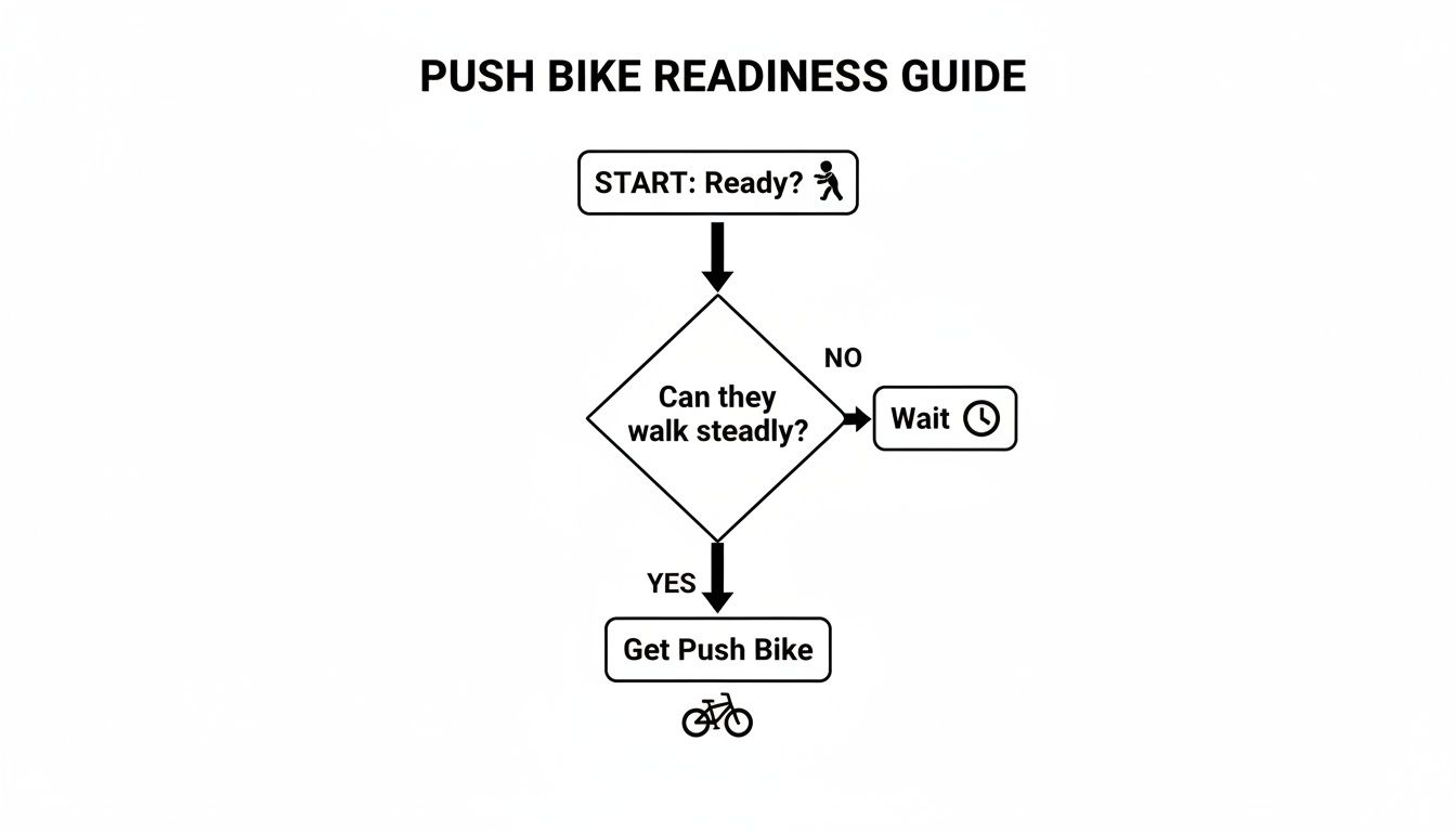 Flowchart showing a push bike readiness guide for a child, based on their ability to walk steadily.
