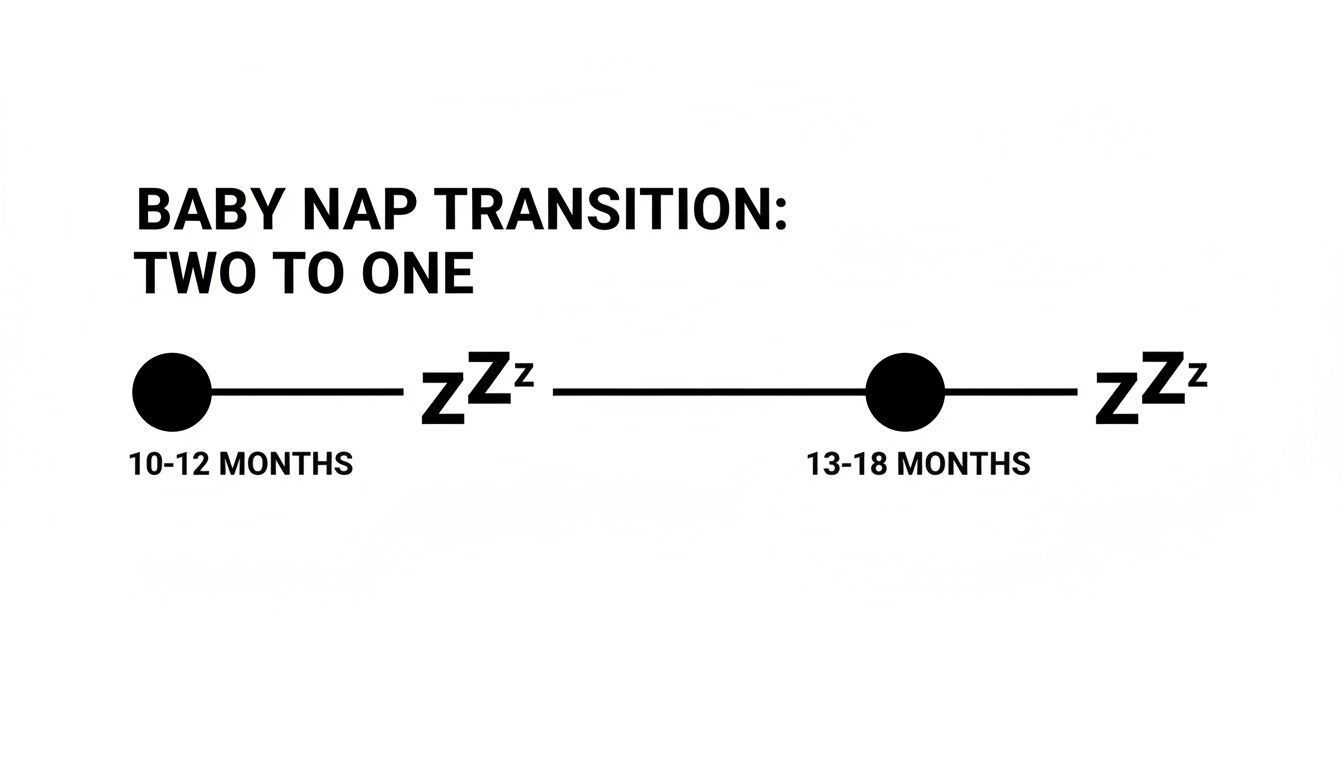A timeline illustrates the baby nap transition from two naps to one, showing 10-12 months and 13-18 months.