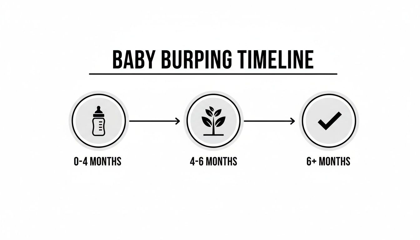 A baby burping timeline infographic showing stages: 0-4 months (bottle), 4-6 months (plant), and 6+ months (checkmark).